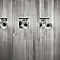 Trombone Quartett